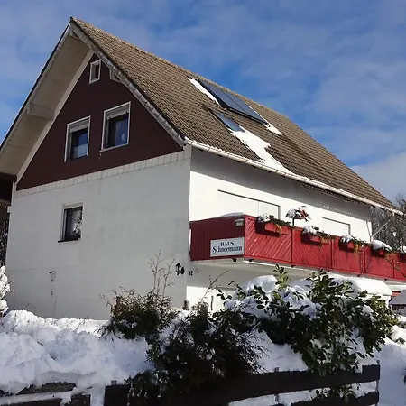 Ferienwohnung Schneemann Hohegeiss Exterior photo
