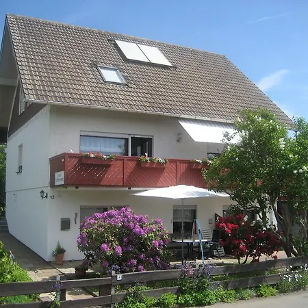Ferienwohnung Schneemann Hohegeiss Exterior photo