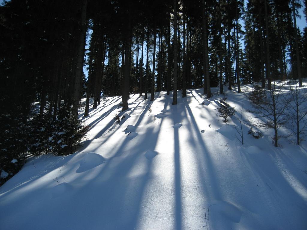 Schneemann * Hohegeiss