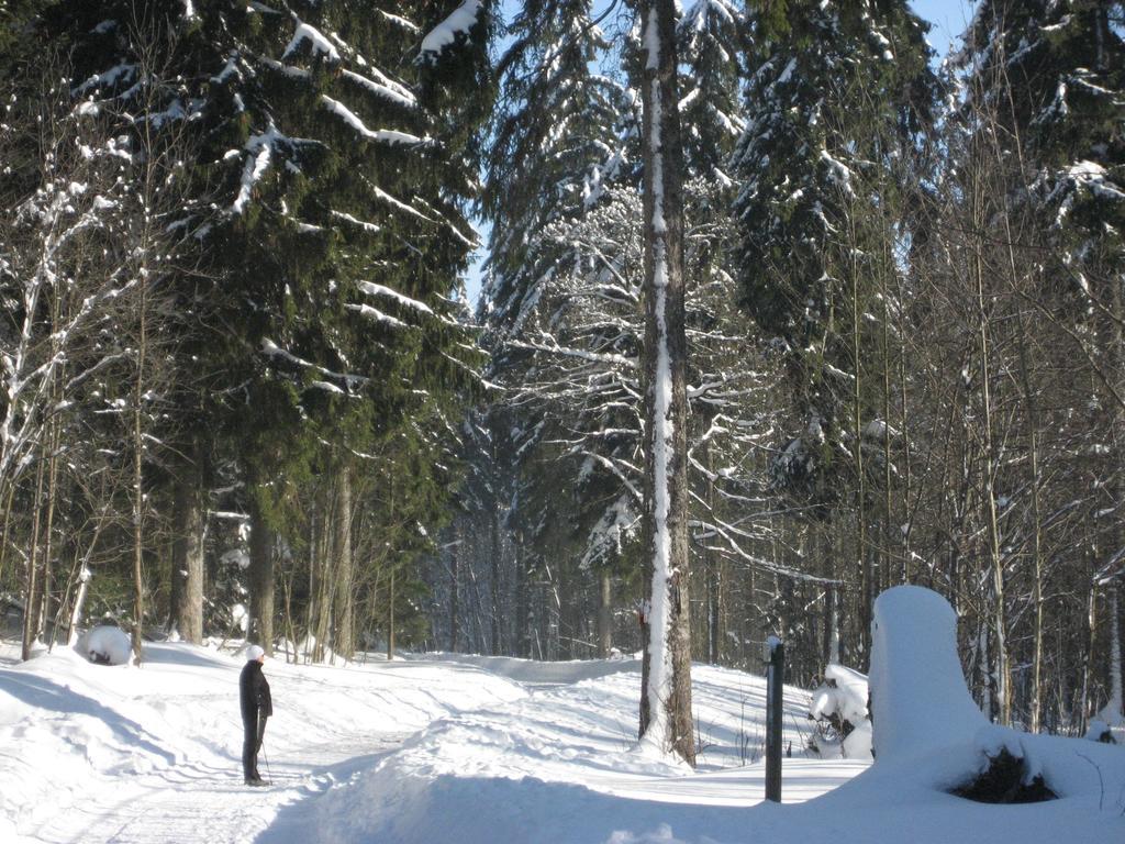 Apartment Schneemann *
