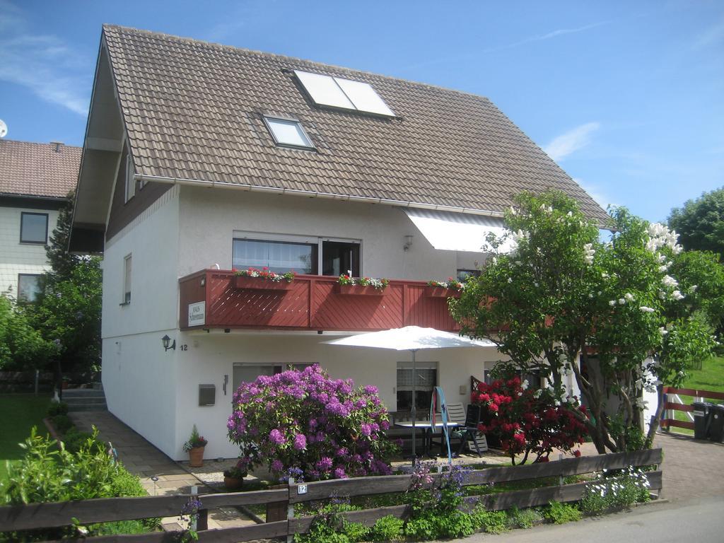 Apartment Schneemann Hohegeiss